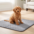 Reusable Pup Pad